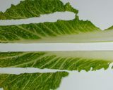 シャキシャキ白菜シーザーサラダ作り方1写真