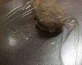簡単 やわらかガーリックトンカツ作り方12写真