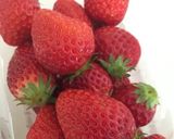 パステルパープルローズケーキ作り方7写真