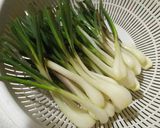 新緑の香り♪島らっきょうのモリンガ塩漬け作り方1写真