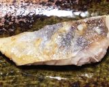お魚もお肉も♪カンタン粕漬け焼き♬作り方7写真