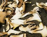 きのことリコッタチーズソースのパスタ作り方2写真