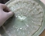 やりいかの刺身作り方9写真