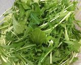 水菜とツナのサラダ作り方1写真