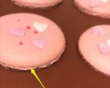 失敗しにくいマカロン　あの巨匠の味を再現作り方42写真