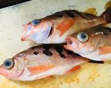 メバルの煮付け作り方1写真