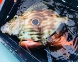 マトウダイの姿造り作り方1写真