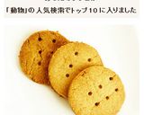 動物由来フリー　全粒粉100%ビスケット作り方6写真