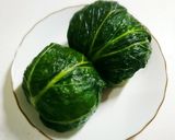 春の行楽に♪高菜のおにぎり作り方7写真