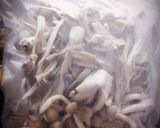 土鍋炊き込みご飯☆炊飯器でも☆作り方5写真