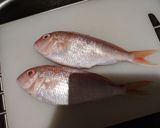 treadfin breamの煮付け作り方1写真