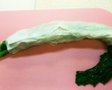 子供もOK！菜花ともやしのさっぱりナムル作り方5写真