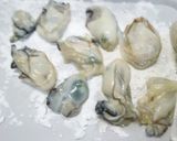 電子レンジで牡蠣キムチ餃子鍋作り方5写真