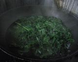ケールのおひたし作り方1写真