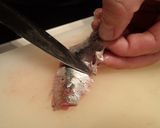 マイワシの刺身作り方4写真