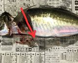 釣りたて鯵のさばき方（お刺身用+フライ）作り方2写真