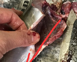 釣りたて鯵のさばき方（お刺身用+フライ）作り方4写真