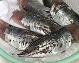 釣りたて鯵のさばき方（お刺身用+フライ）作り方15写真