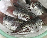 釣りたて鯵のさばき方（お刺身用+フライ）作り方15写真