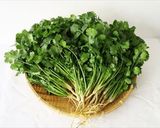 美味しく食べてキレイになれる♡パクチー鍋作り方2写真