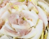 隠れ力うどんの寄せ鍋☆白菜と鶏肉の野菜鍋作り方2写真