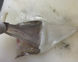 簡単！やりいかのさばき方作り方6写真