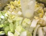 野菜の一夜漬け〜(o˘◡˘o)♡作り方10写真