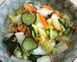 野菜の一夜漬け〜(o˘◡˘o)♡作り方30写真
