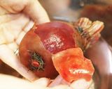 土臭くない♡美味しいビーツの水煮作り方4写真