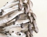 セロリたっぷり鶏のリゾット作り方1写真