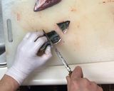 ぶり(いなだ)あらの処理作り方9写真