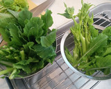 菜の花の茹で方と保存〜和え物２種作り方11写真