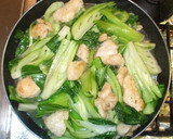 鶏肉と青梗菜の中華炒め♪簡単材料2つ作り方14写真