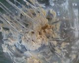 プレーンプチマフィン作り方1写真