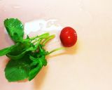 節約！チーズたっぷりラディッシュのサラダ作り方3写真