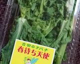 春色の菜の花パスタ作り方1写真