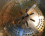 ☆実は簡単☆かれいの煮付け☆作り方5写真
