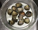 簡単にできる！はまぐりの砂抜き作り方4写真
