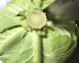 ロールキャベツ（キャベツむき〜巻くまで）作り方3写真