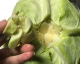 ロールキャベツ（キャベツむき〜巻くまで）作り方4写真