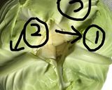 ロールキャベツ（キャベツむき〜巻くまで）作り方5写真