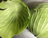 ロールキャベツ（キャベツむき〜巻くまで）作り方6写真