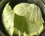 ロールキャベツ（キャベツむき〜巻くまで）作り方7写真