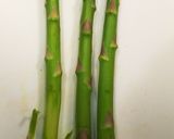 豚肉の野菜巻き作り方3写真