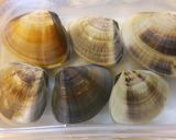 はまぐりの酒蒸し風作り方1写真