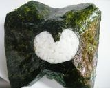 キャラ弁☆ペンギンちゃん弁当作り方4写真