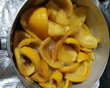 甘夏ピール作り方9写真