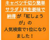 千切りキャベツ♥紅生姜簡単さっぱりサラダ作り方7写真