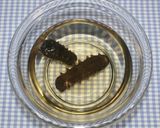 高級中華☆乾燥ナマコのオイスターソース煮作り方12写真