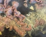 104.鹿のスジ膜　柔らか焼肉作り方6写真
